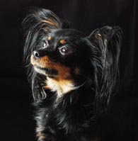Titiyo